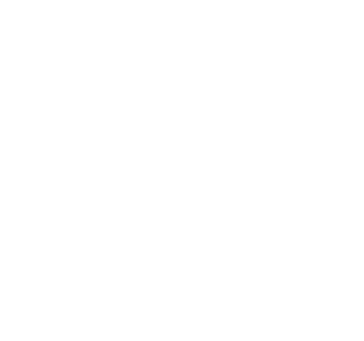 CsakMi logo