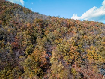 Madartavlatbol ősszel